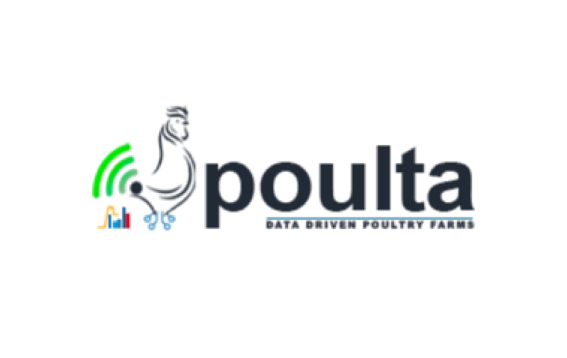 Poulta